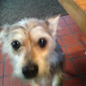 Meet your Posher, Ramona